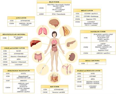 Chemokines and Chemokine Receptors: New Targets for Cancer Immunotherapy